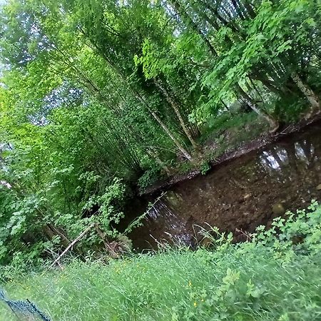 Gite De L'Ours Saint-Maurice-sur-Moselle Buitenkant foto