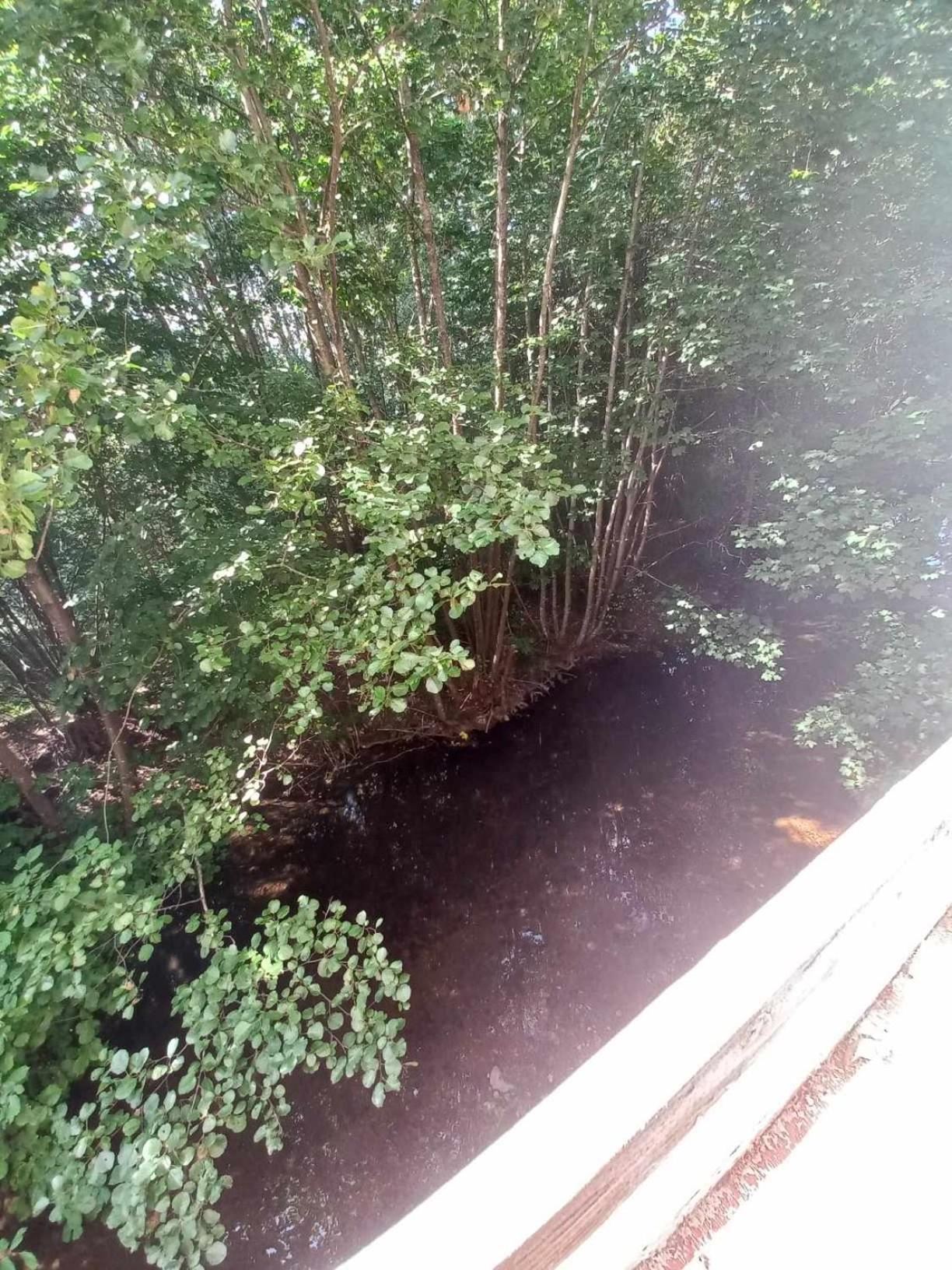Gite De L'Ours Saint-Maurice-sur-Moselle Buitenkant foto