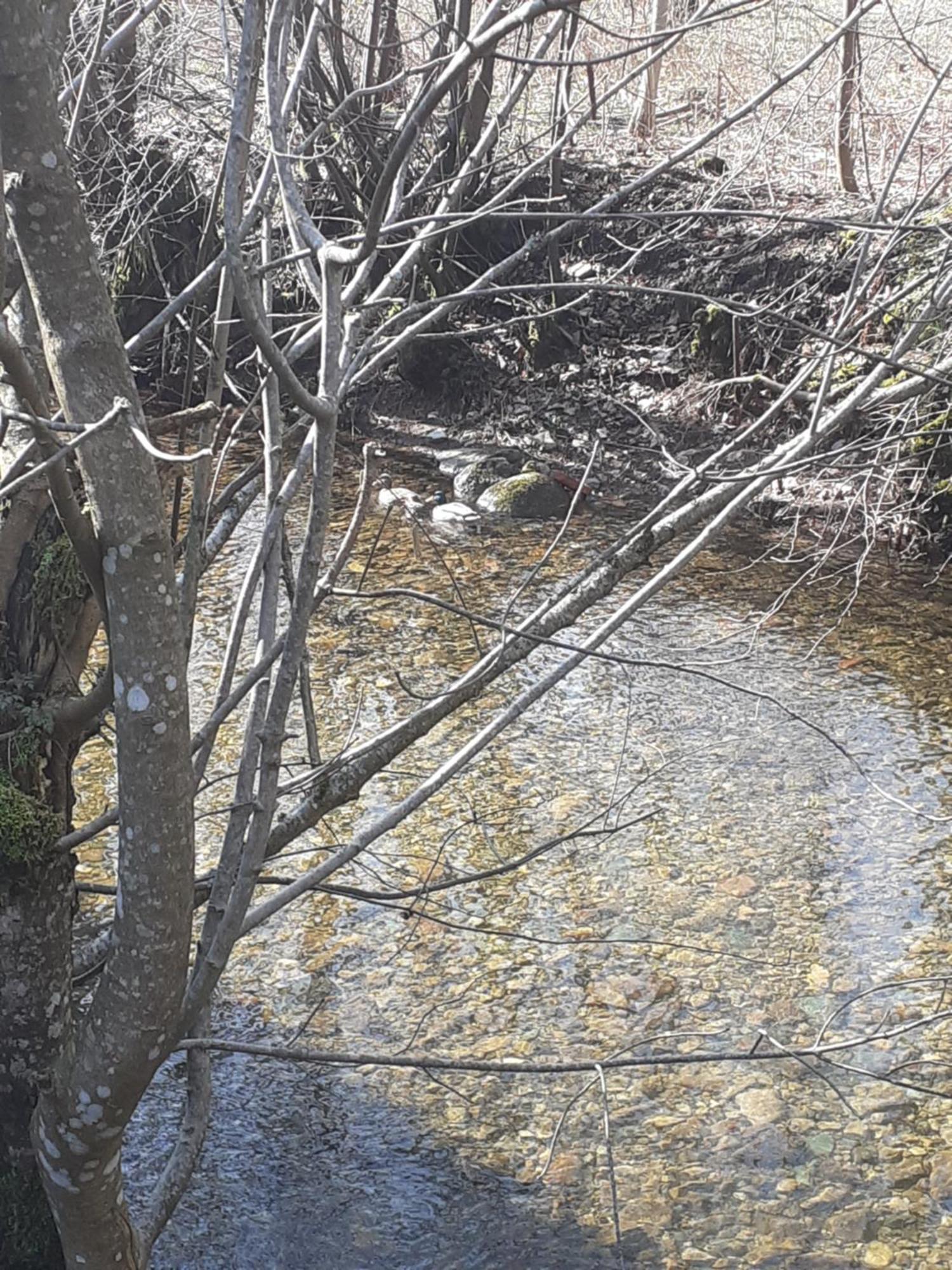 Gite De L'Ours Saint-Maurice-sur-Moselle Buitenkant foto