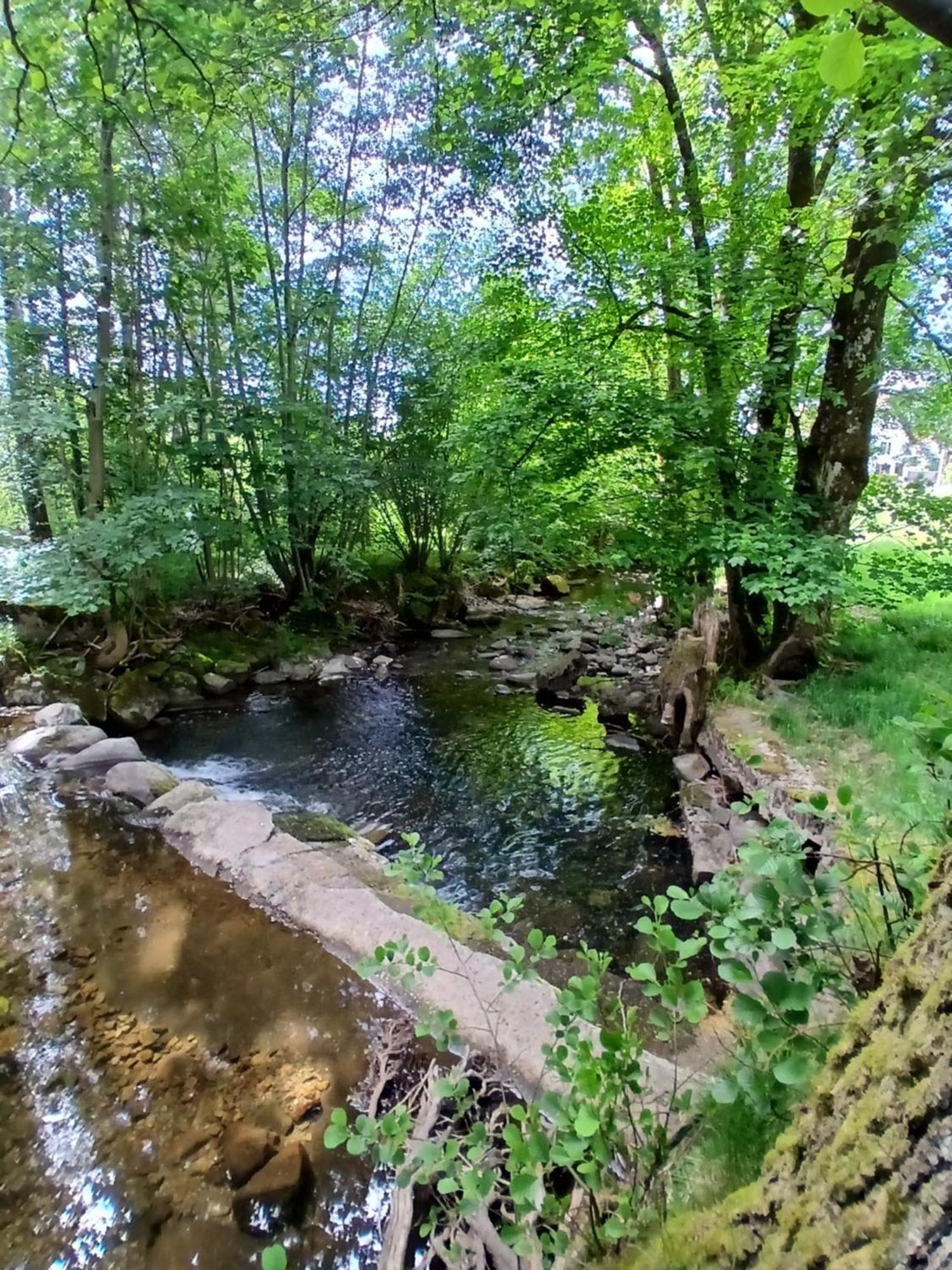 Gite De L'Ours Saint-Maurice-sur-Moselle Buitenkant foto