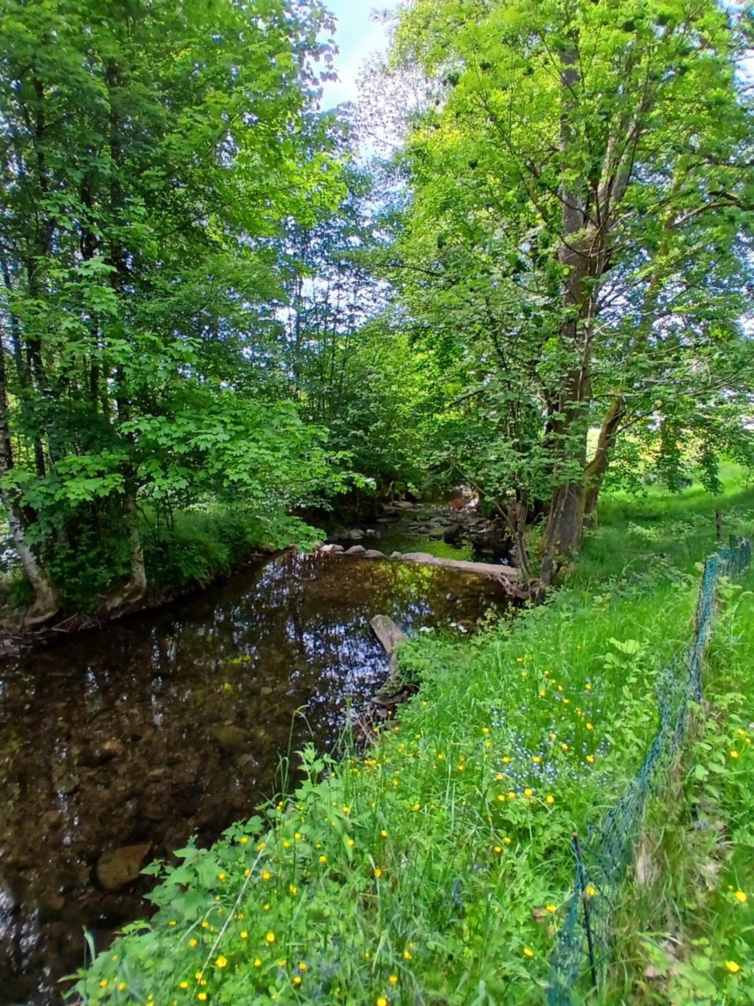Gite De L'Ours Saint-Maurice-sur-Moselle Buitenkant foto